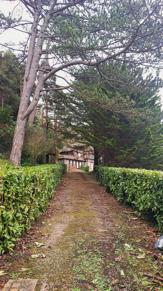 Rénovation de la Villa du Parc des Enclos — Bénerville-sur-Mer (14)